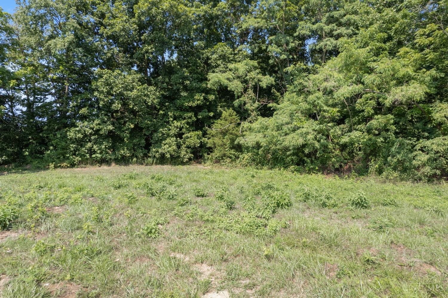 390 Silver Lane