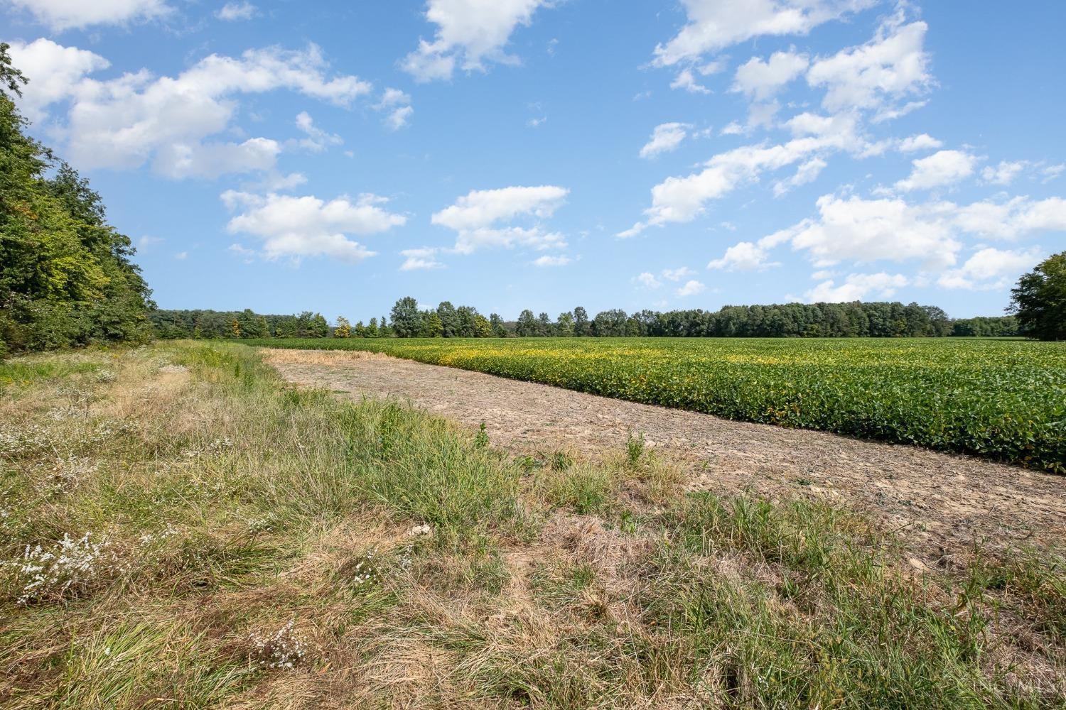 8541 Louderback Road