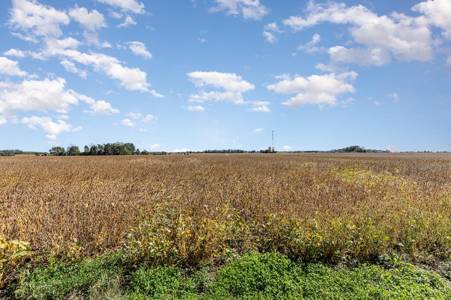 75 Martin Alexander Road