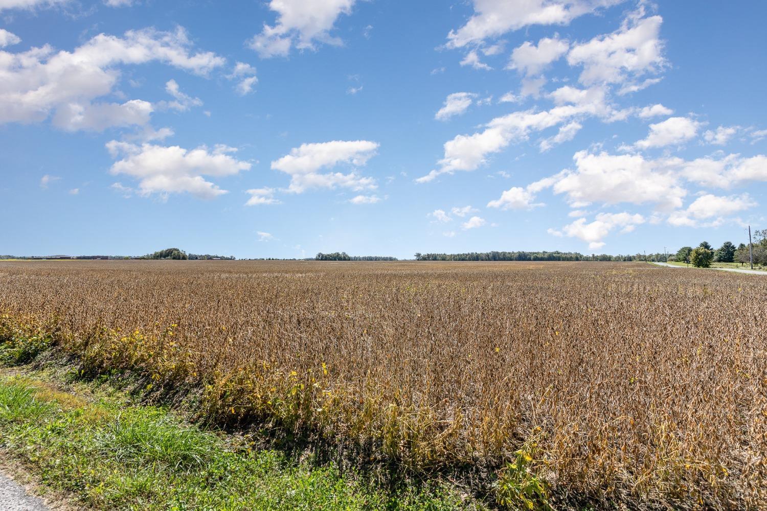 75 Martin Alexander Road