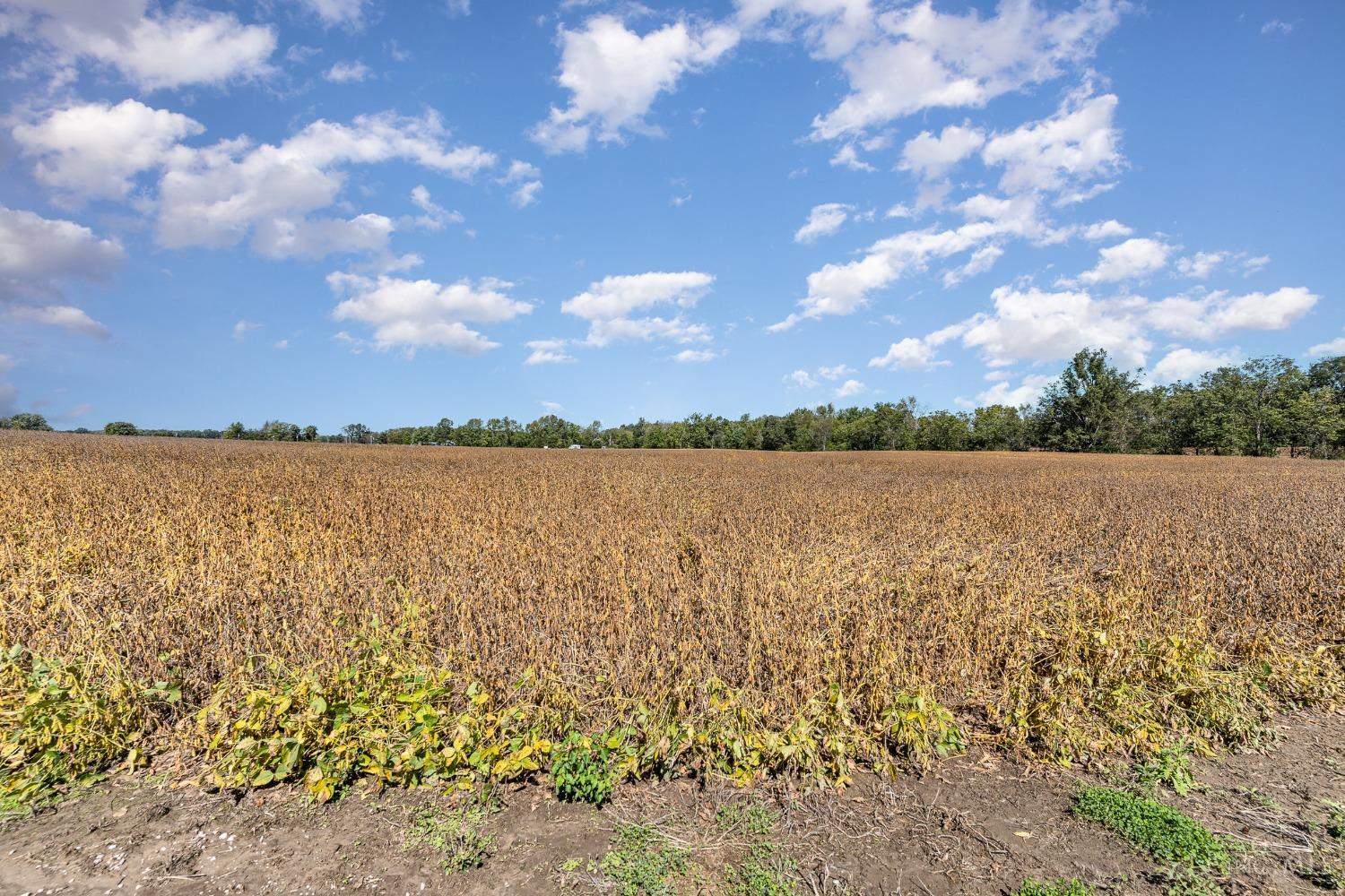 74 Martin Alexander Road