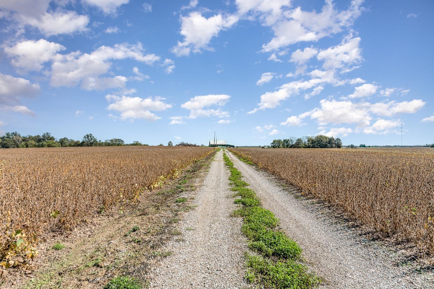 74 Martin Alexander Road