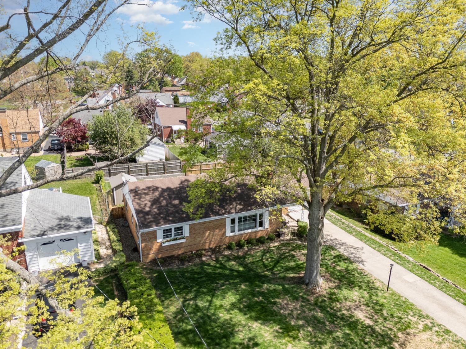 1112 Alnetta Drive