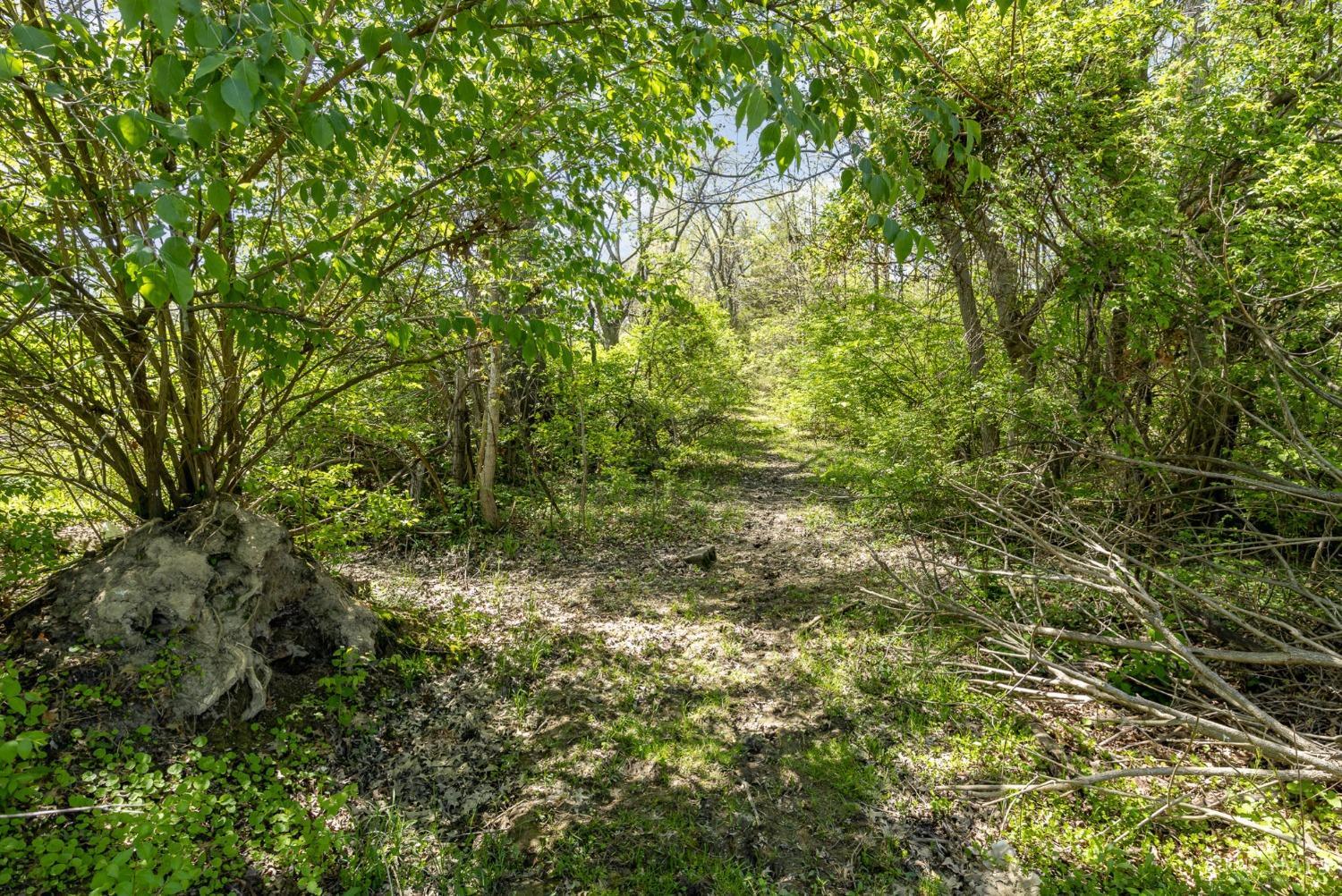 5897 Cook Road