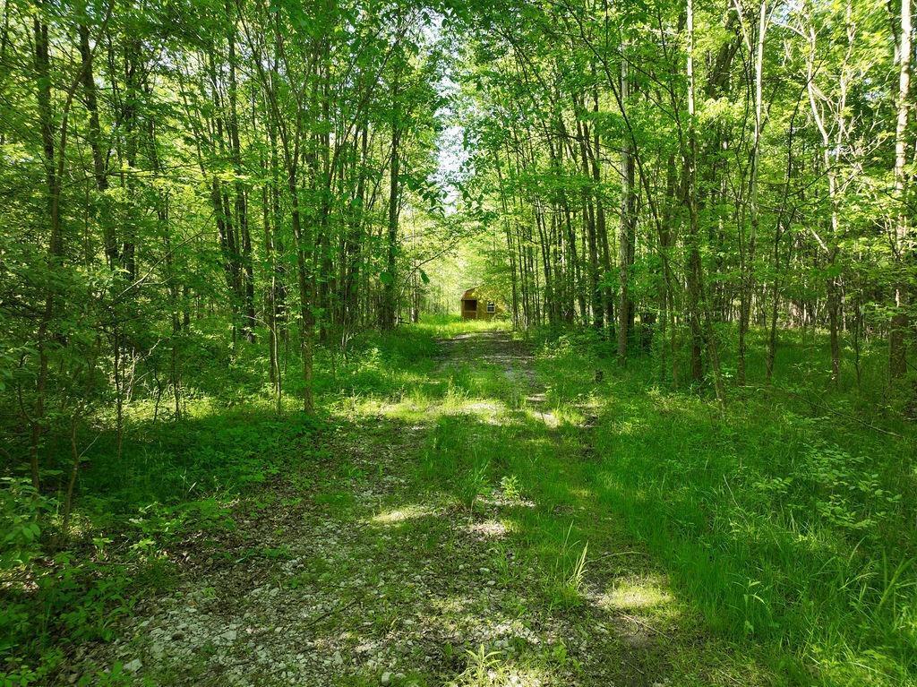 8 Bethel Maple Road