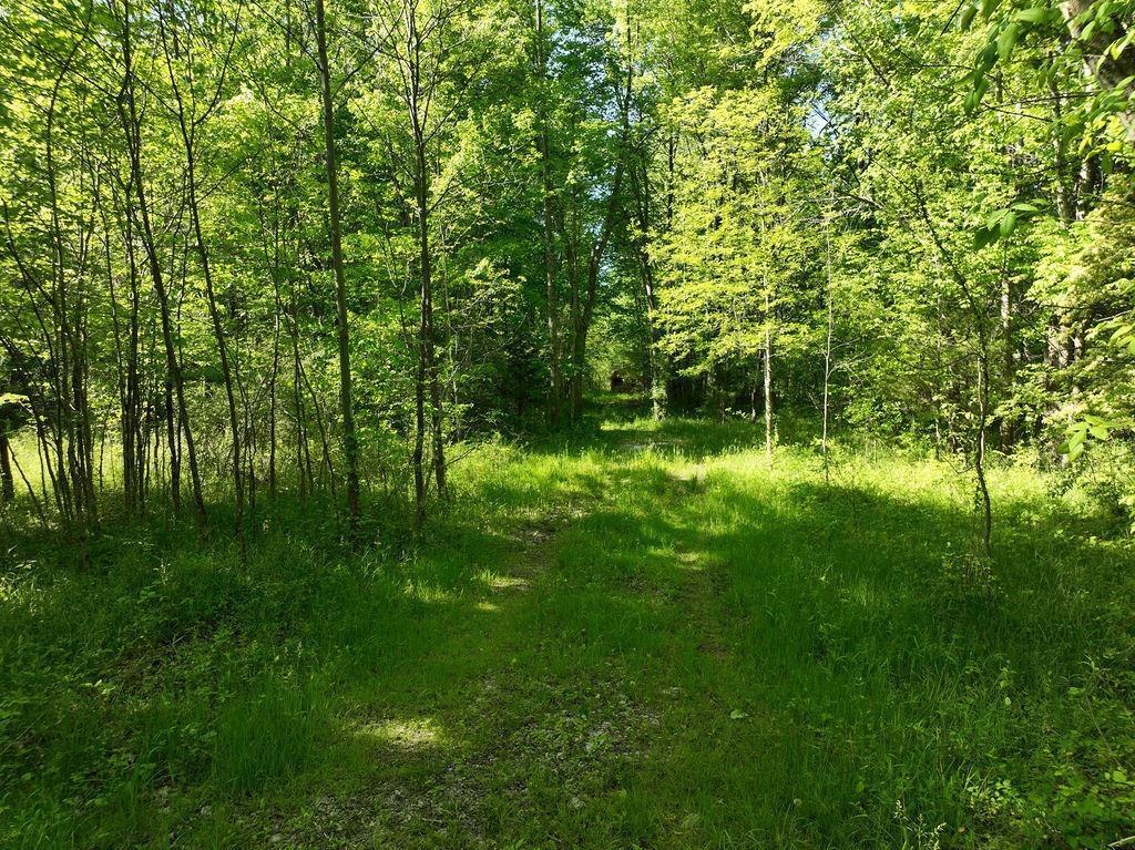 8 Bethel Maple Road