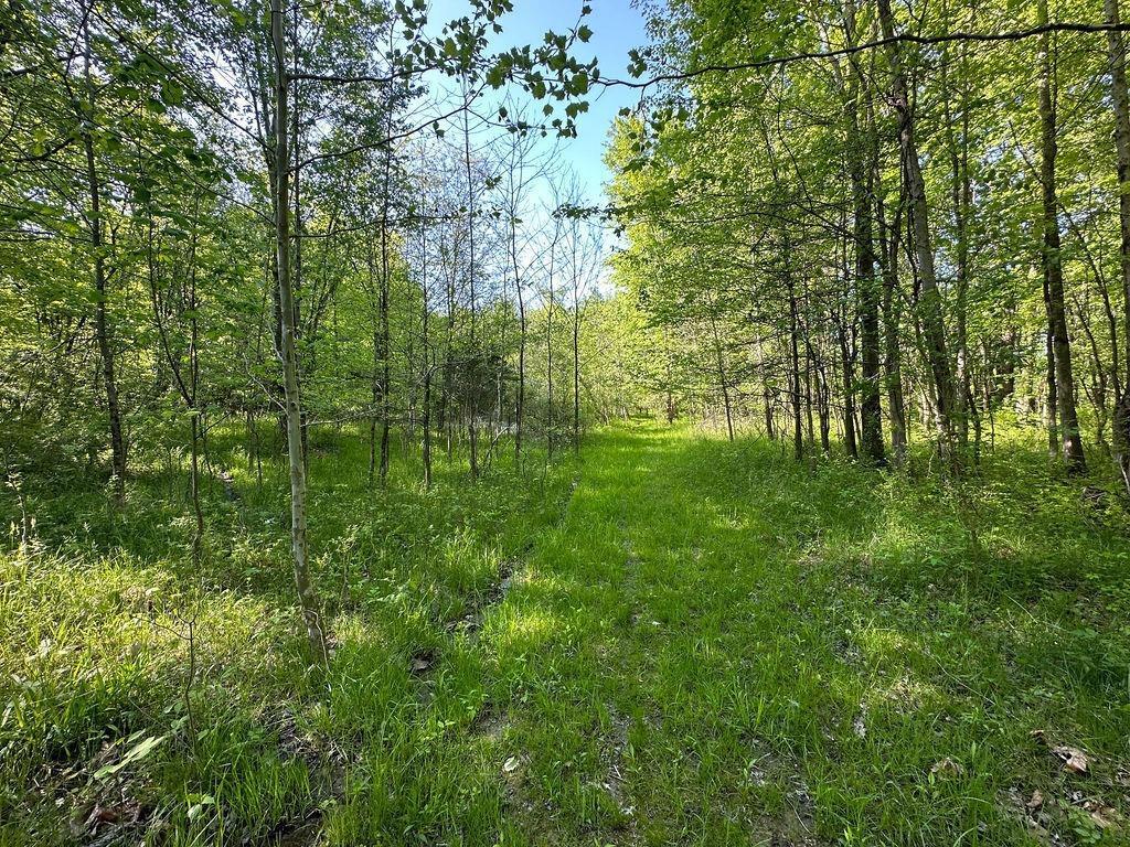 8 Bethel Maple Road