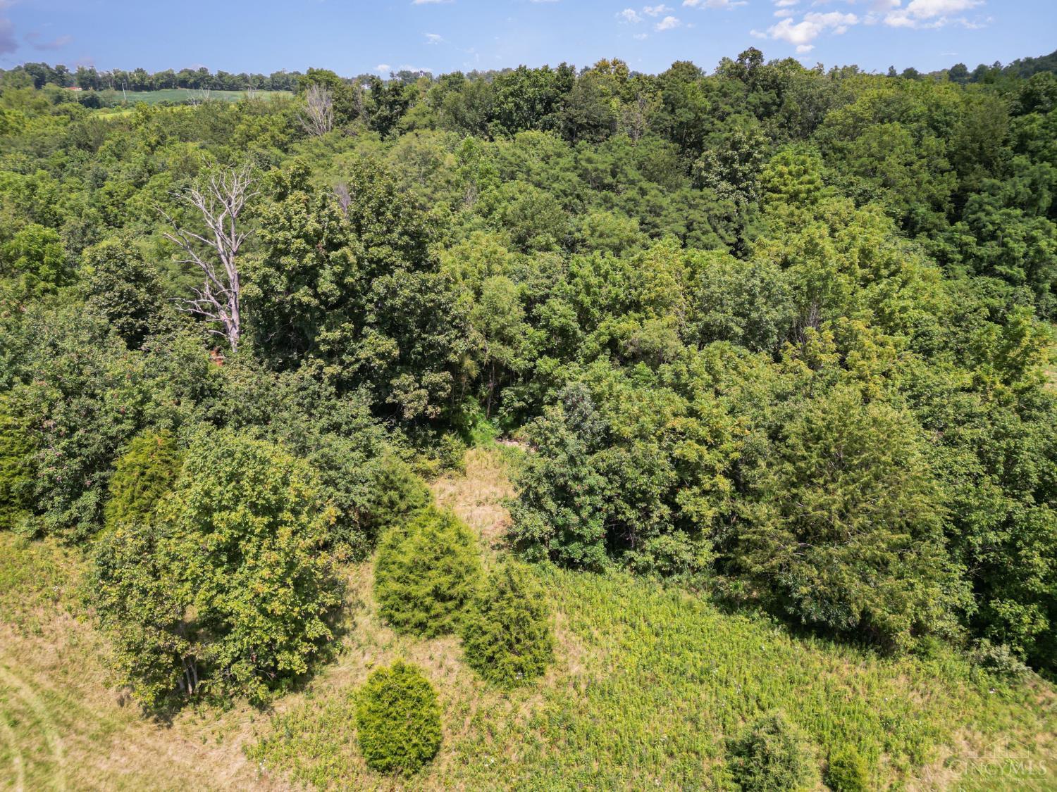 359 Buck Run Road
