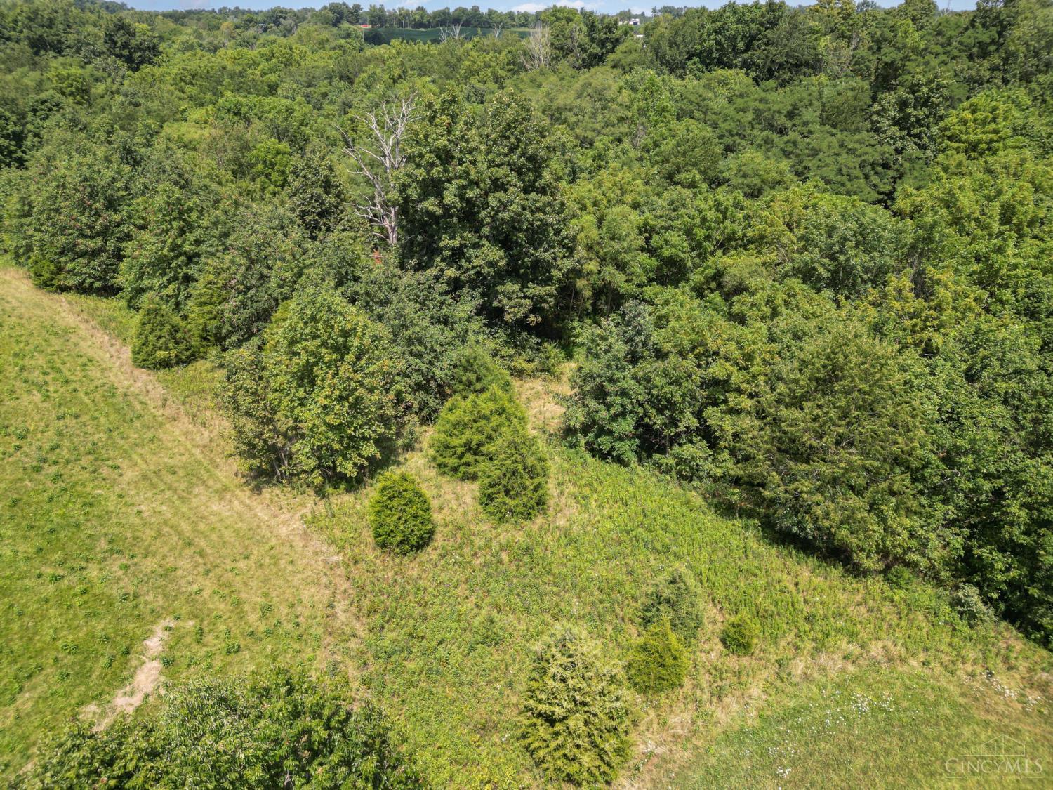 359 Buck Run Road