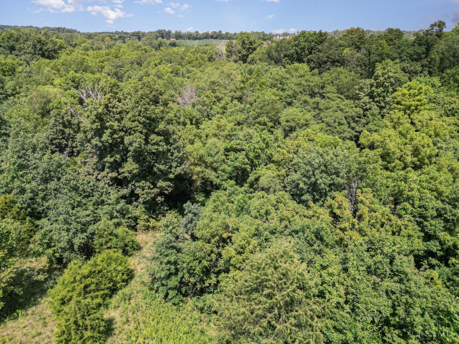 359 Buck Run Road