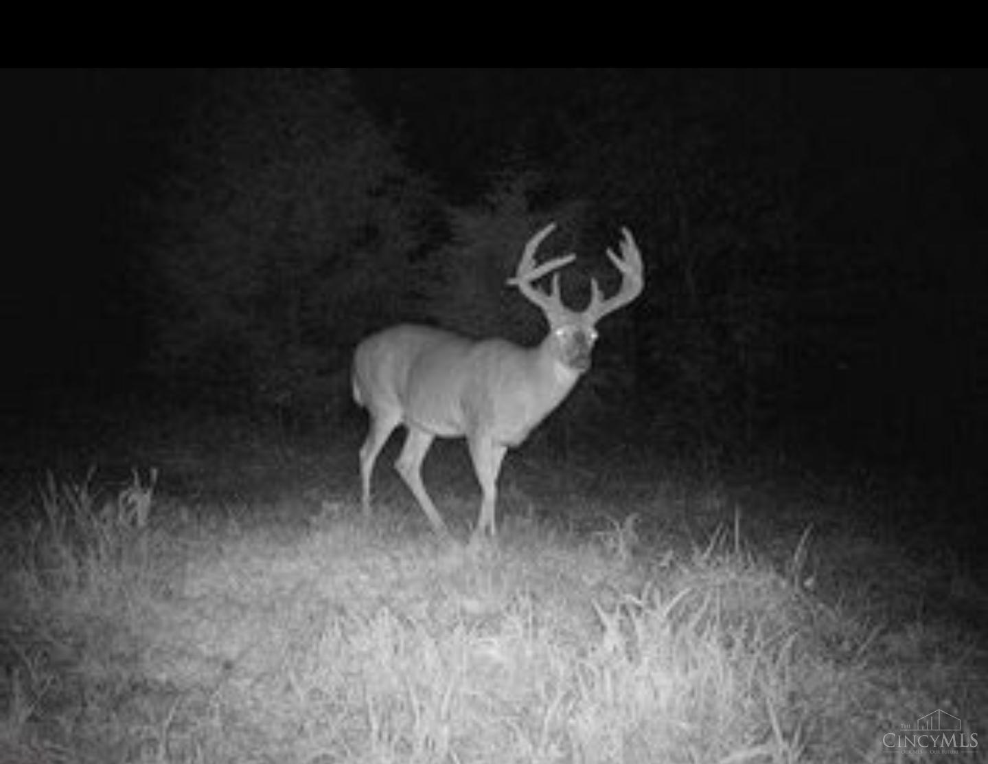 359 Buck Run Road