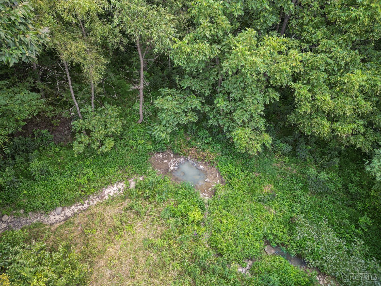 359 Buck Run Road