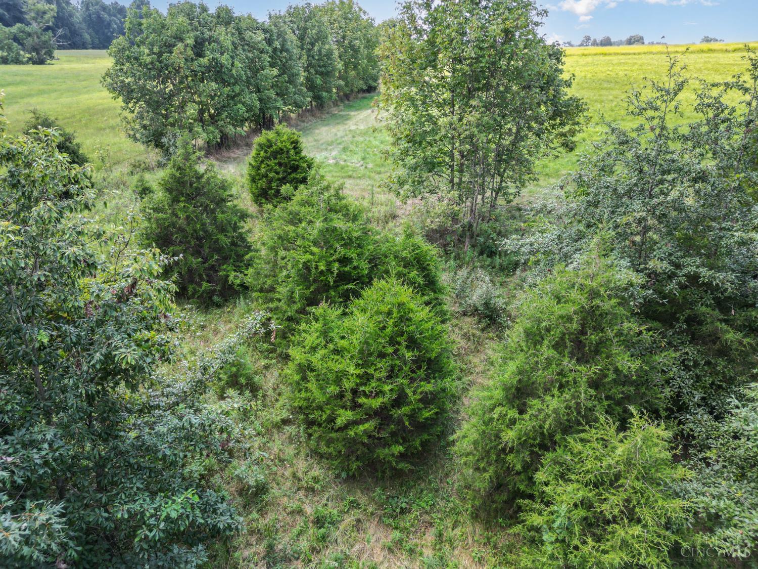 359 Buck Run Road