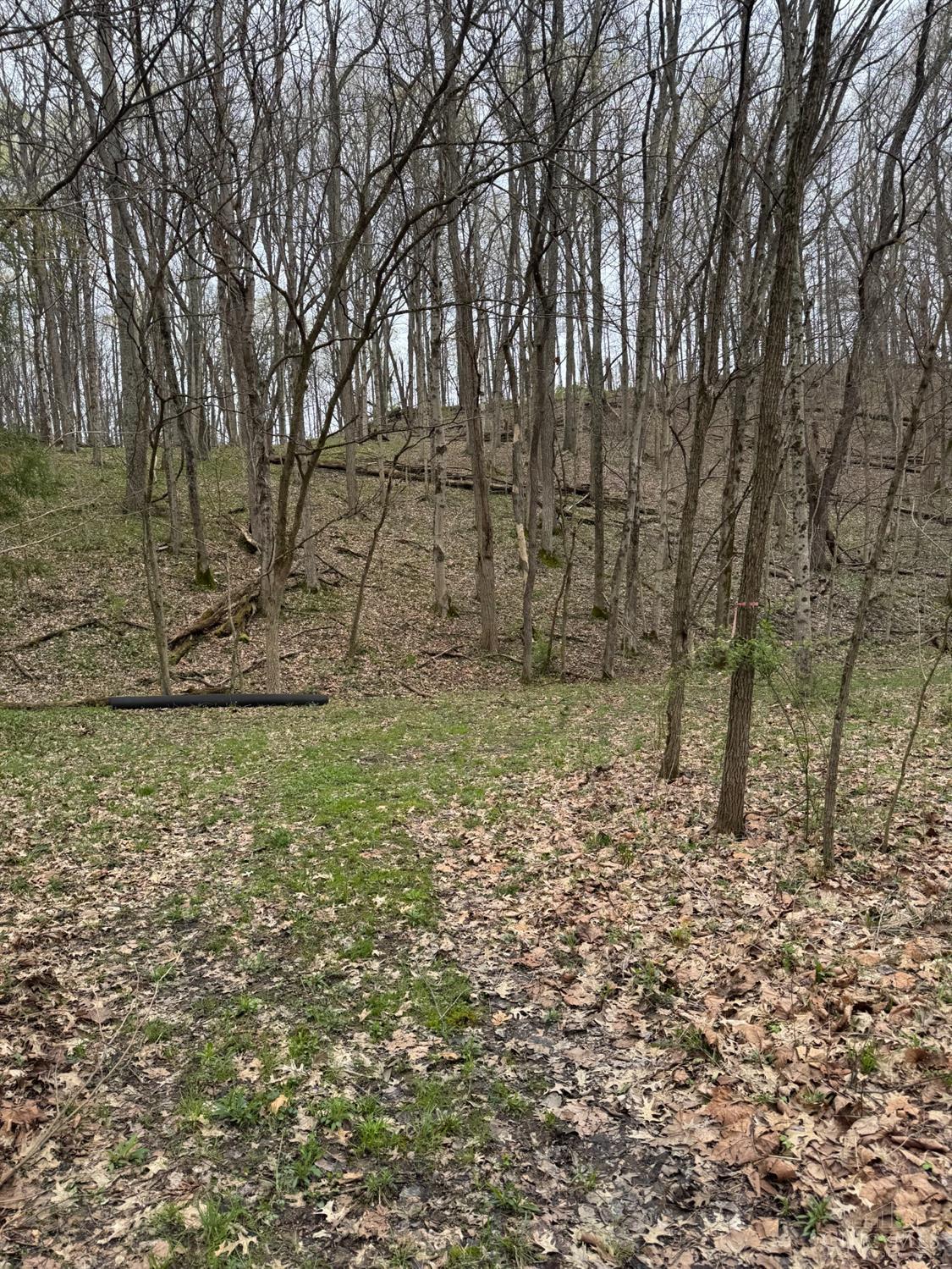 6 Stony Hollow Road