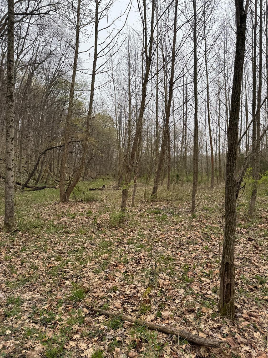 6 Stony Hollow Road