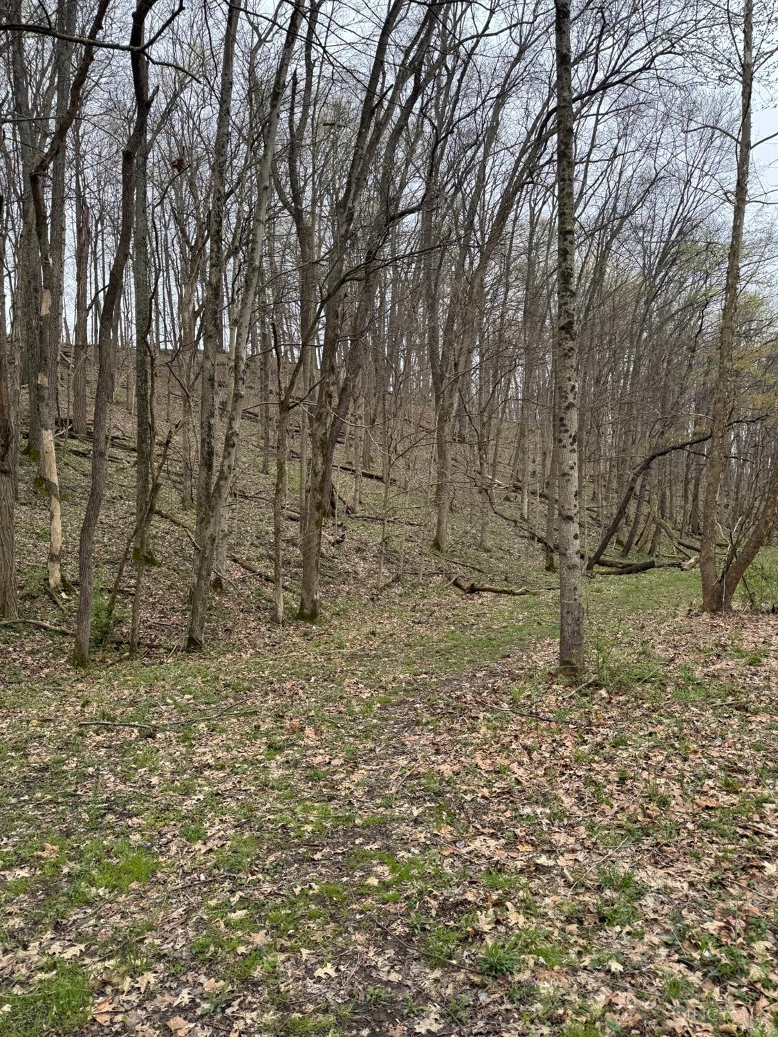 6 Stony Hollow Road