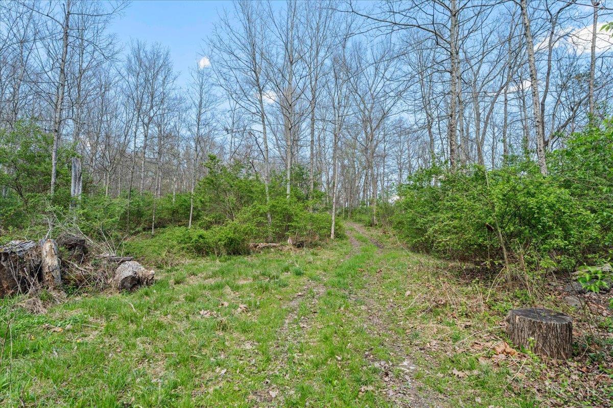 4252 State Route 276