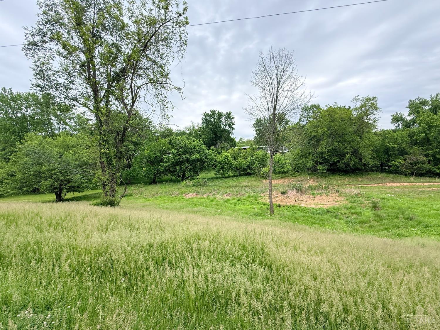 3 Owl Drive