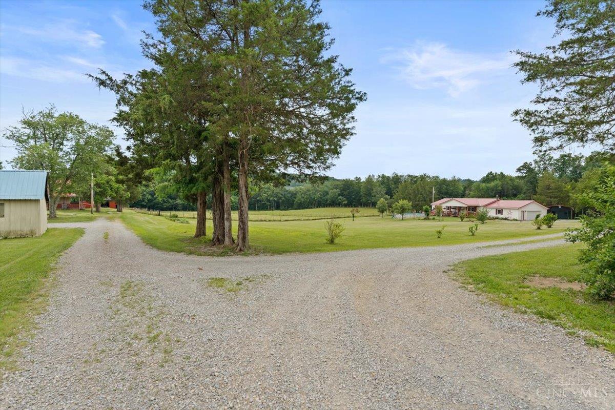 374 Cuckoo Road