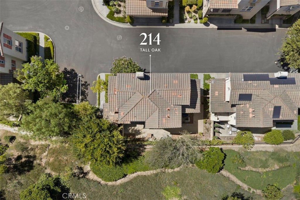 214 Tall Oak