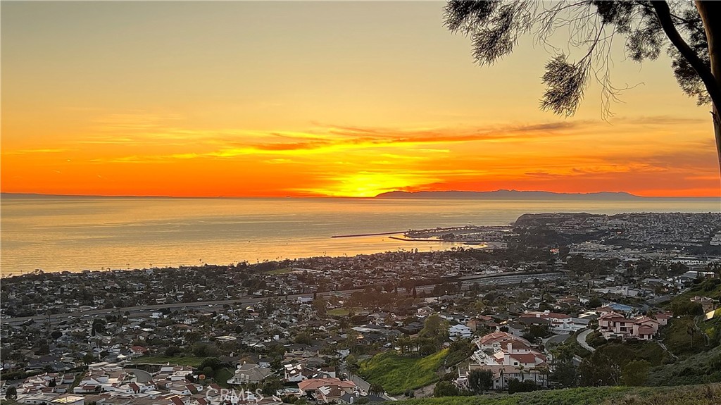 75 Marbella