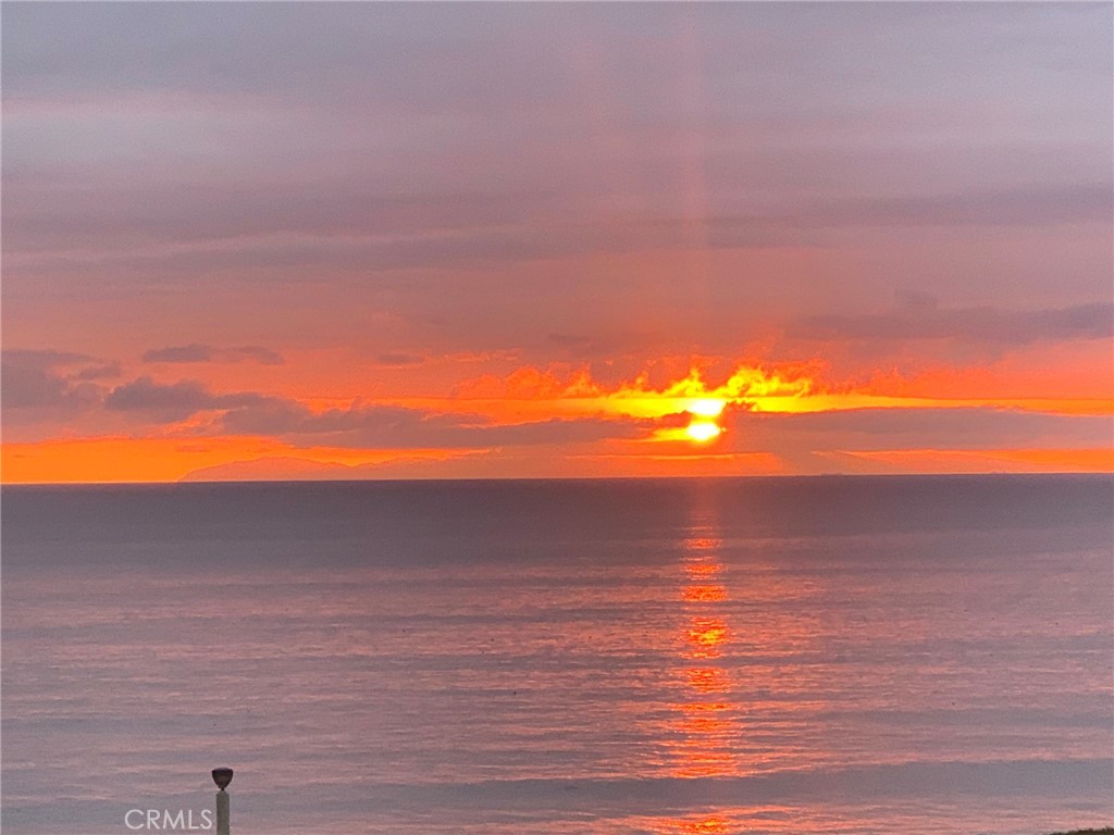 75 Marbella