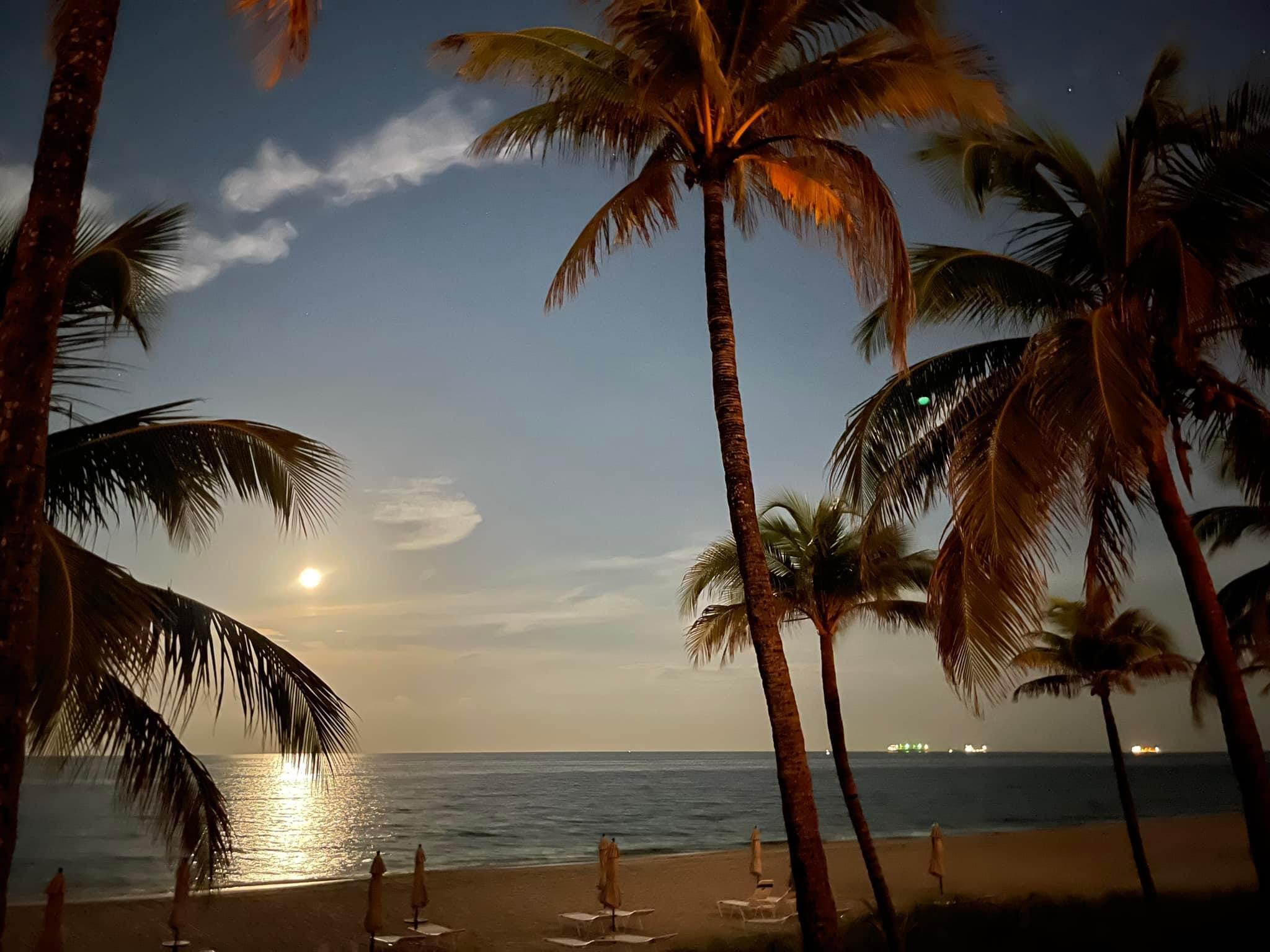3400 Galt Ocean Drive 1704S