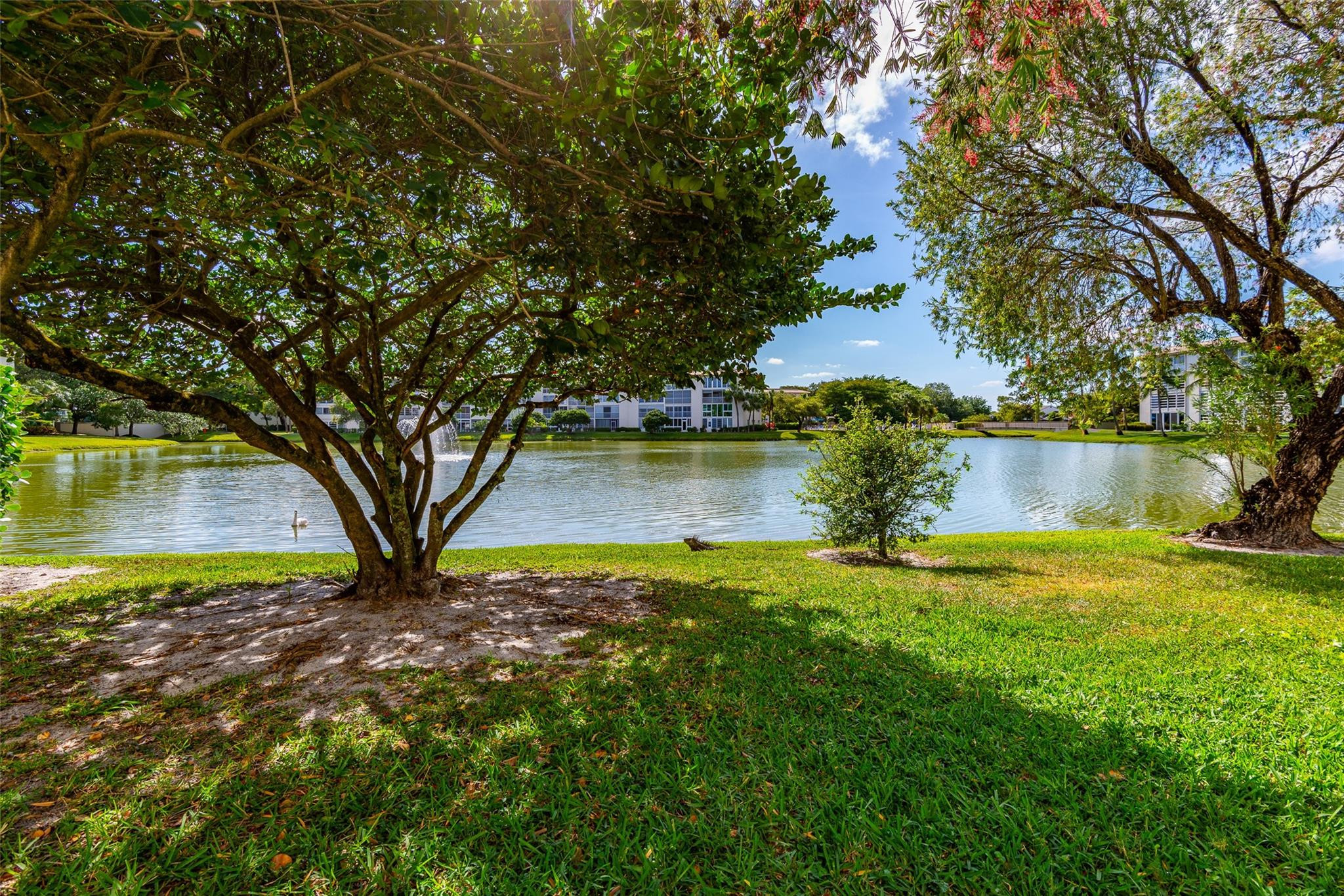 1904 Bermuda Circle E1