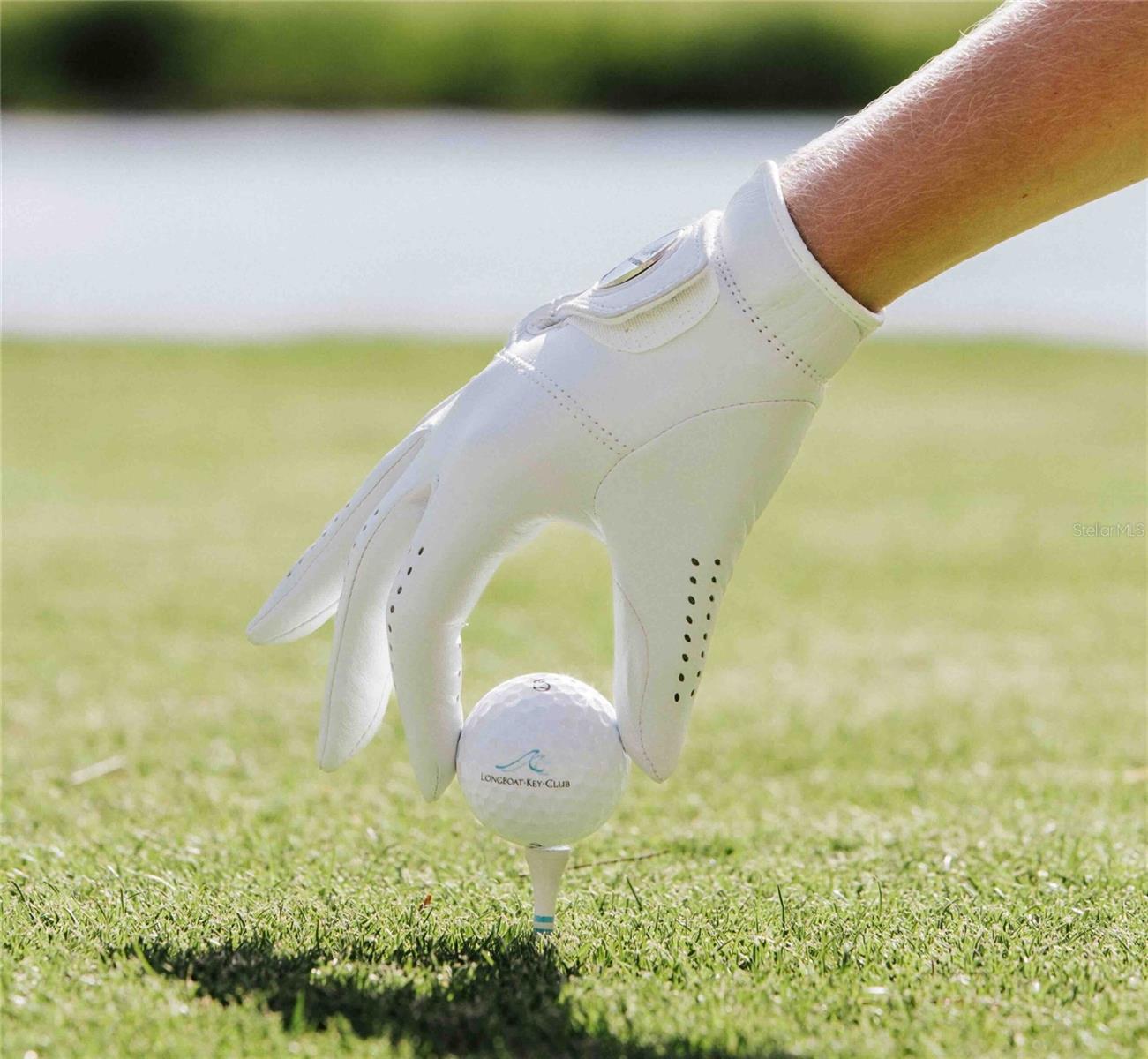 3500 BAYOU LOUISE LN