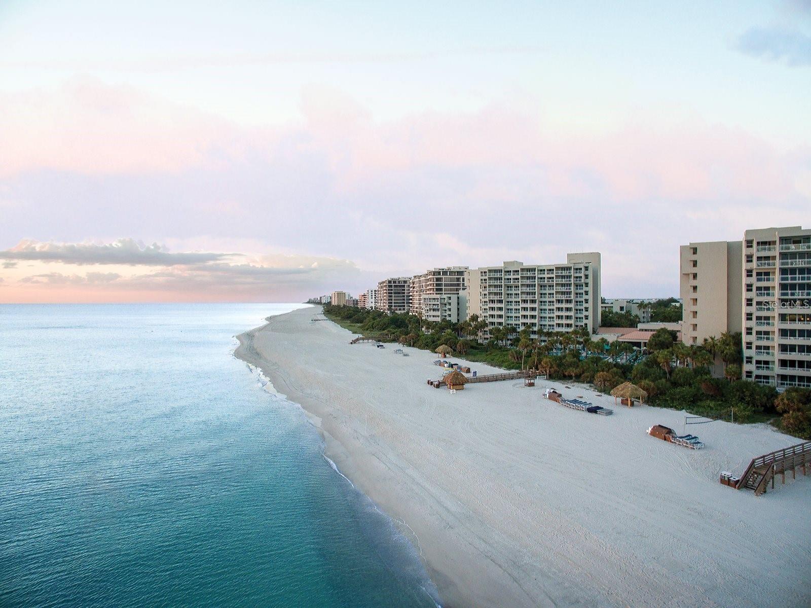 230 SANDS POINT RD #3501
