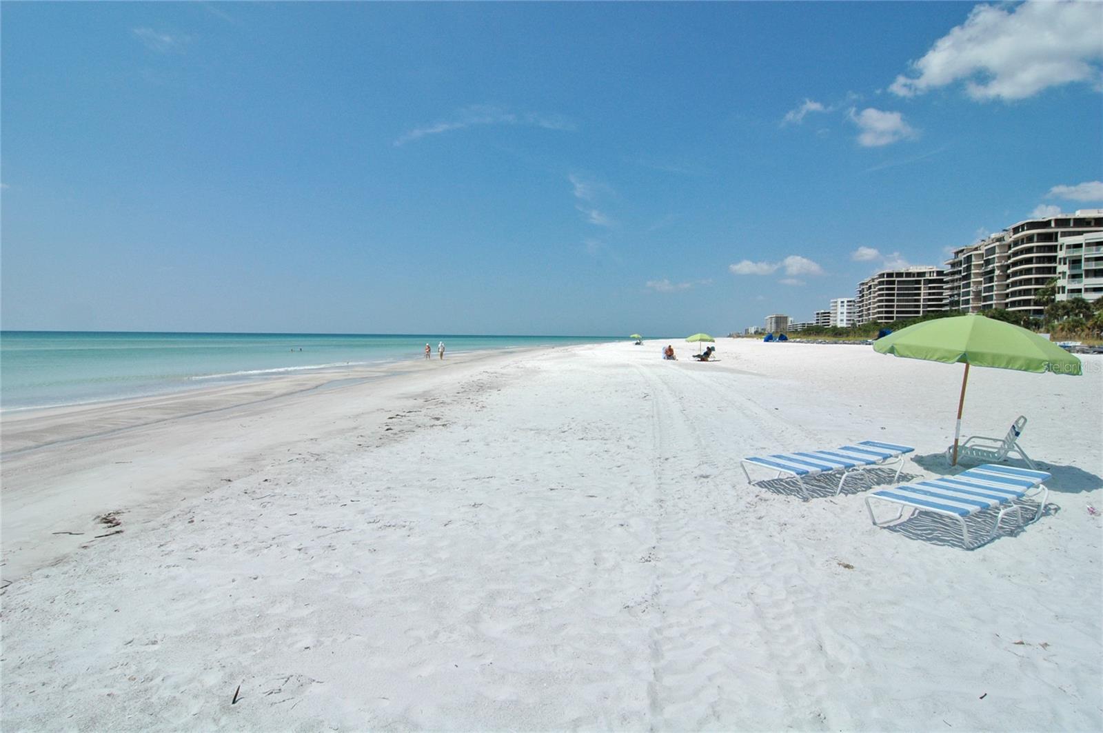 230 SANDS POINT RD #3501
