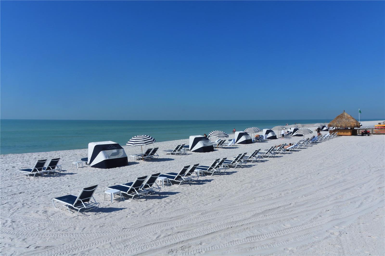 230 SANDS POINT RD #3501