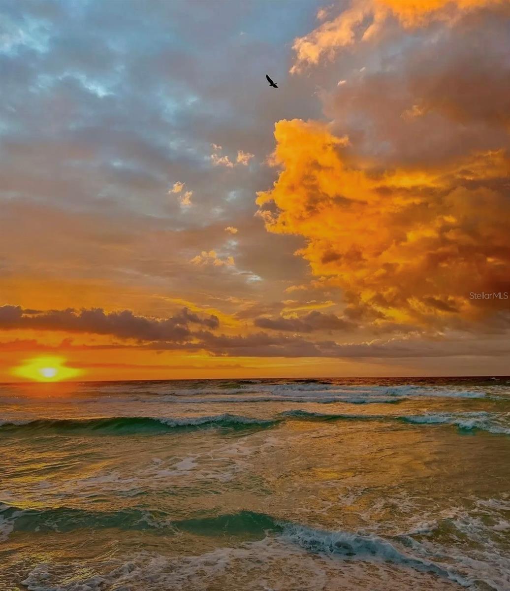 660 GOLDEN GATE PT #32