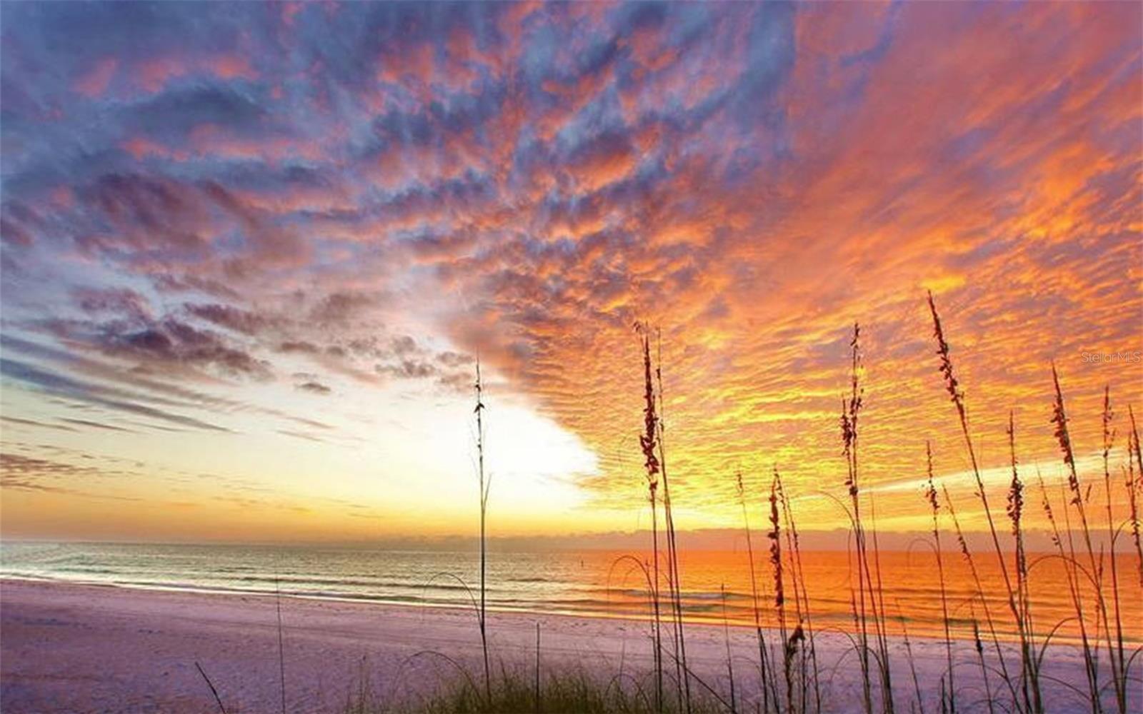 2165 GULF OF MEXICO DR #114