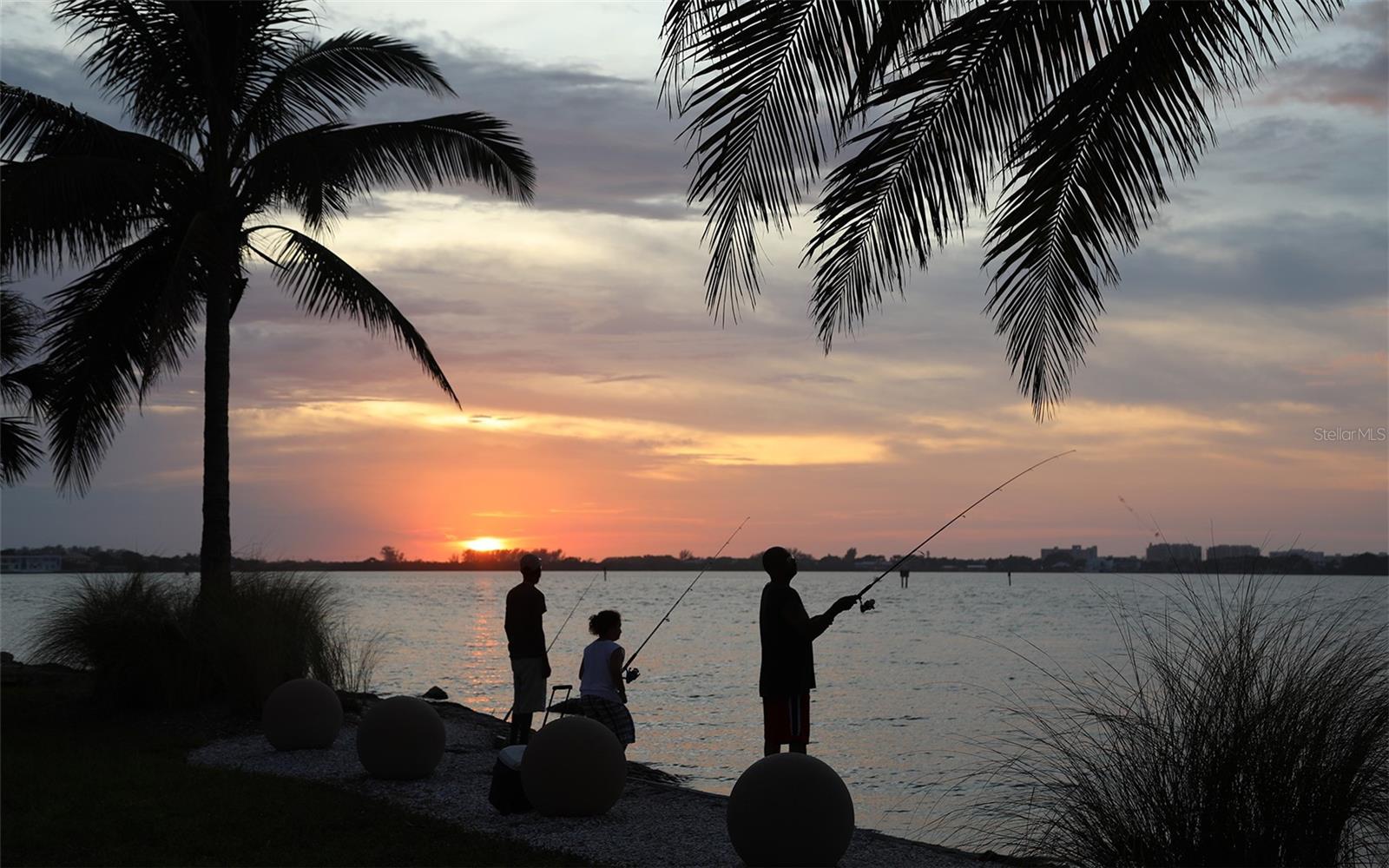 1300 BENJAMIN FRANKLIN DR #709