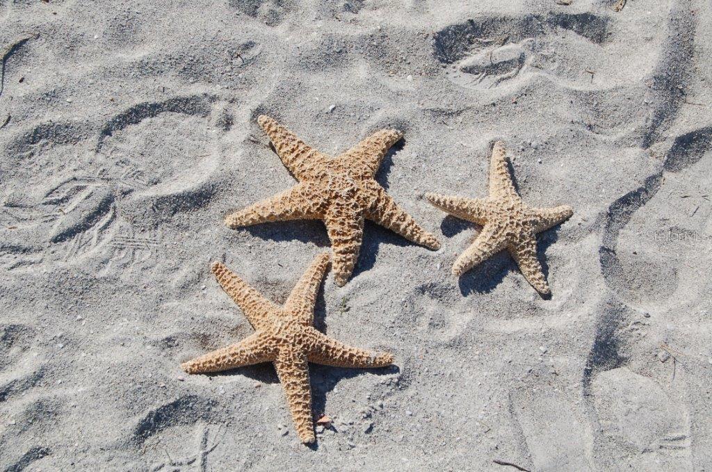 435 L AMBIANCE DR #L807