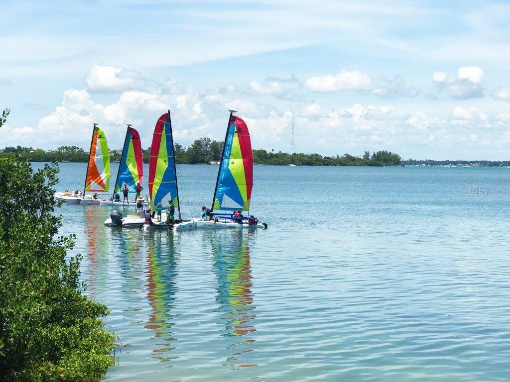 435 L AMBIANCE DR #L807