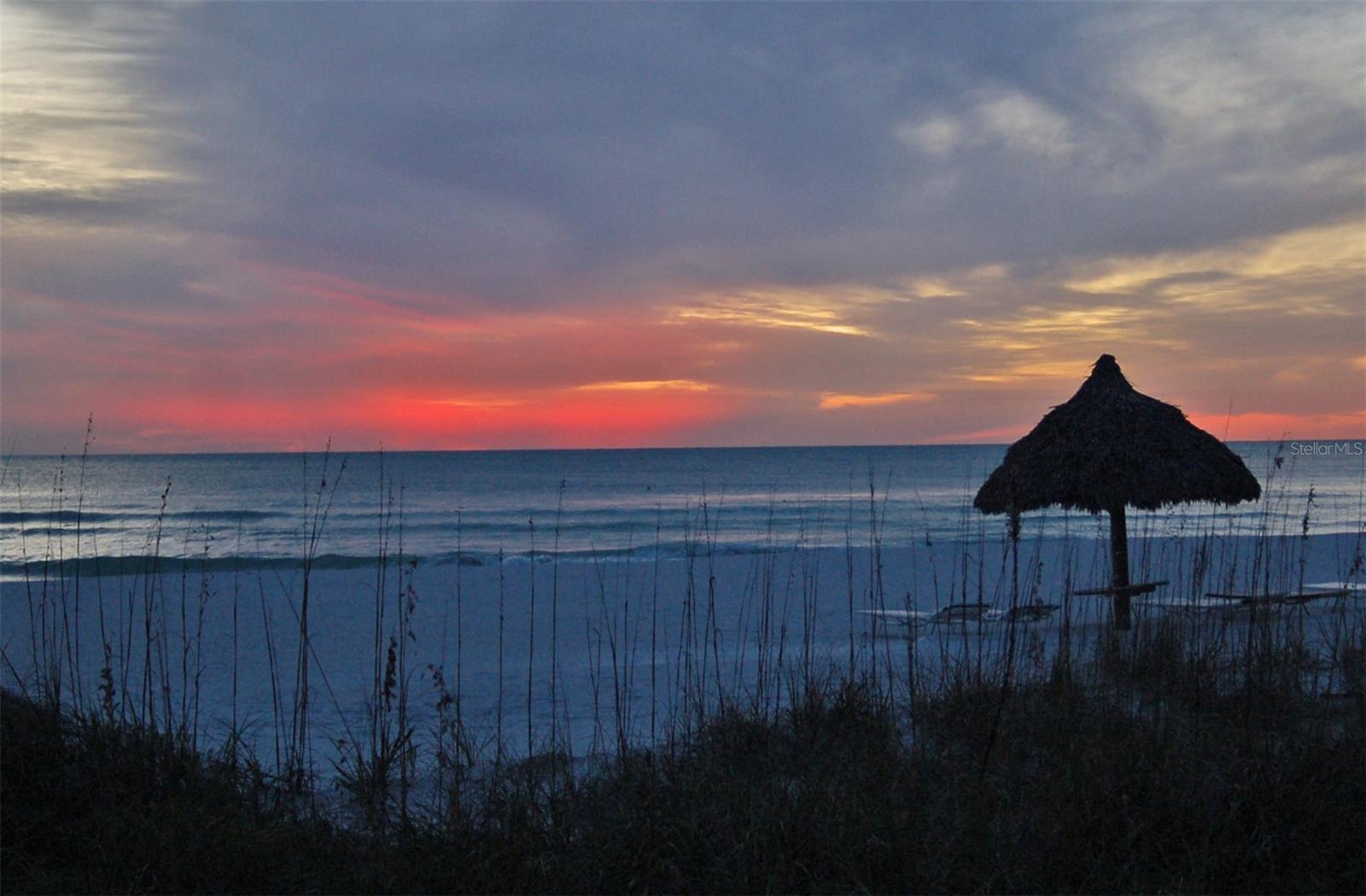 415 L AMBIANCE DR #B202