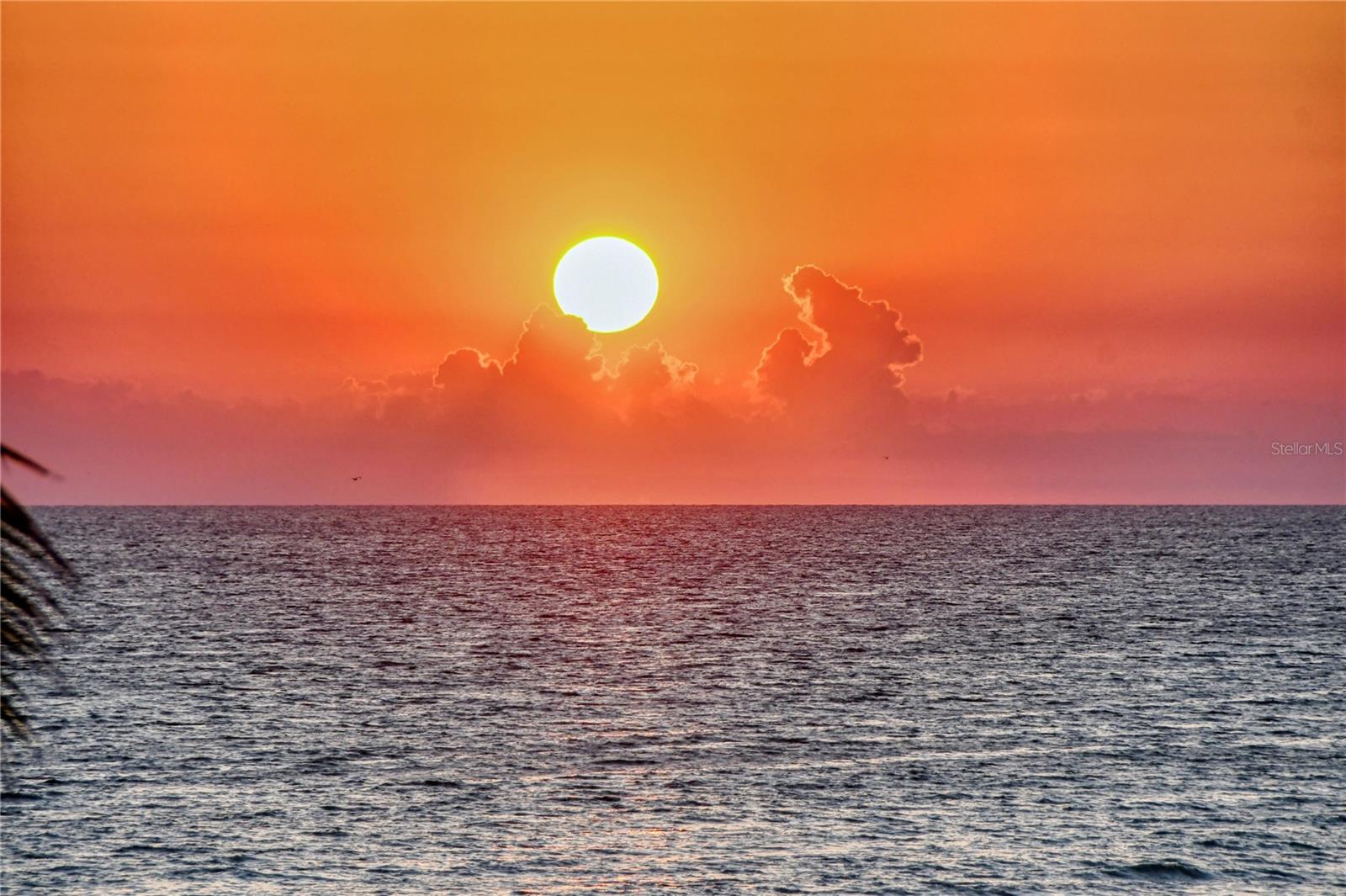 415 L AMBIANCE DR #A801