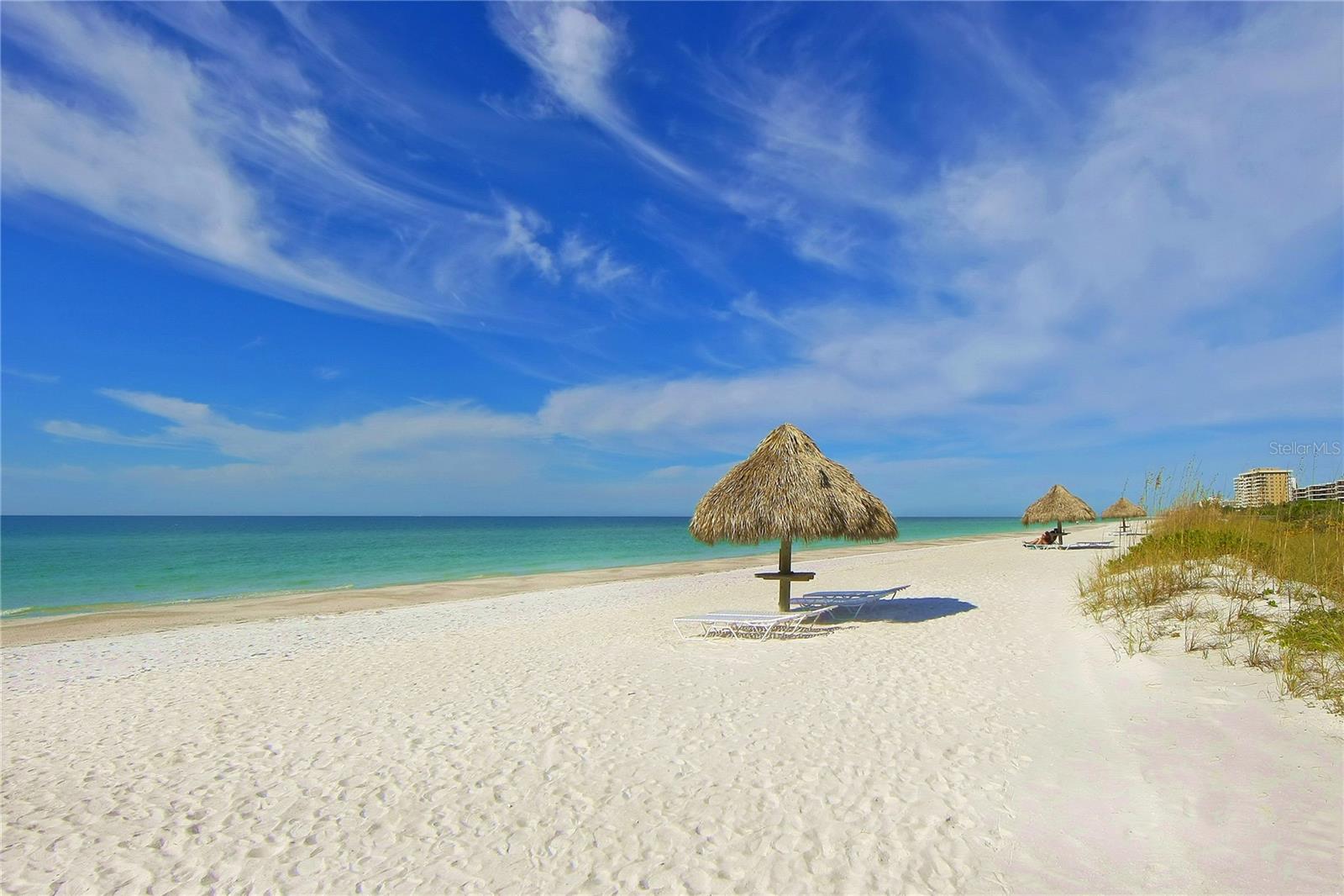 415 L AMBIANCE DR #A801