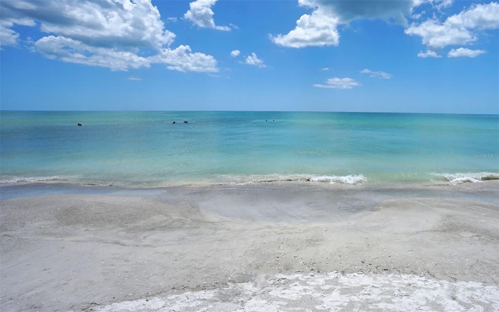 415 L AMBIANCE DR #A801