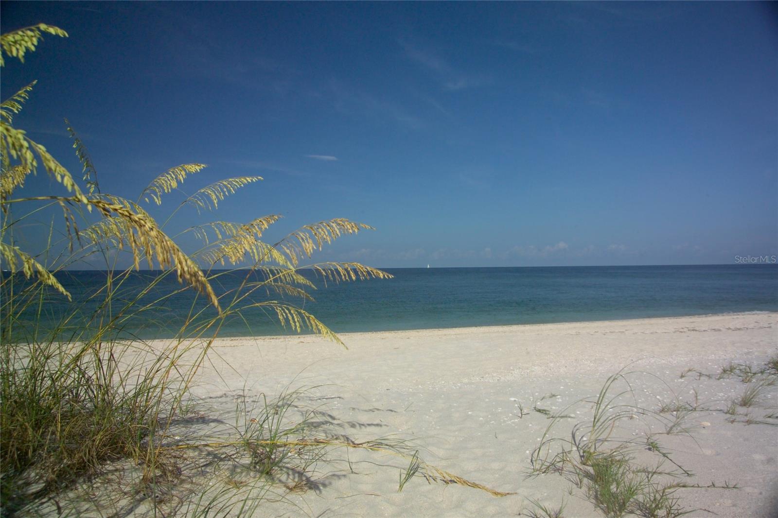 603 LONGBOAT CLUB RD #402N