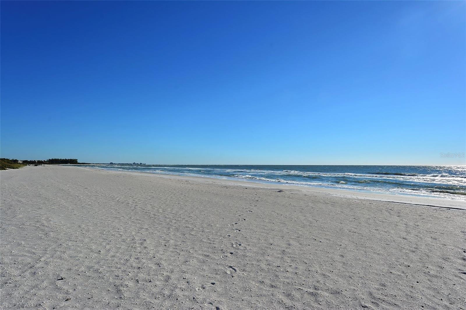 545 SANCTUARY DR #B506