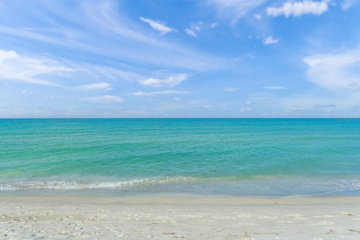 2165 GULF OF MEXICO DR #115