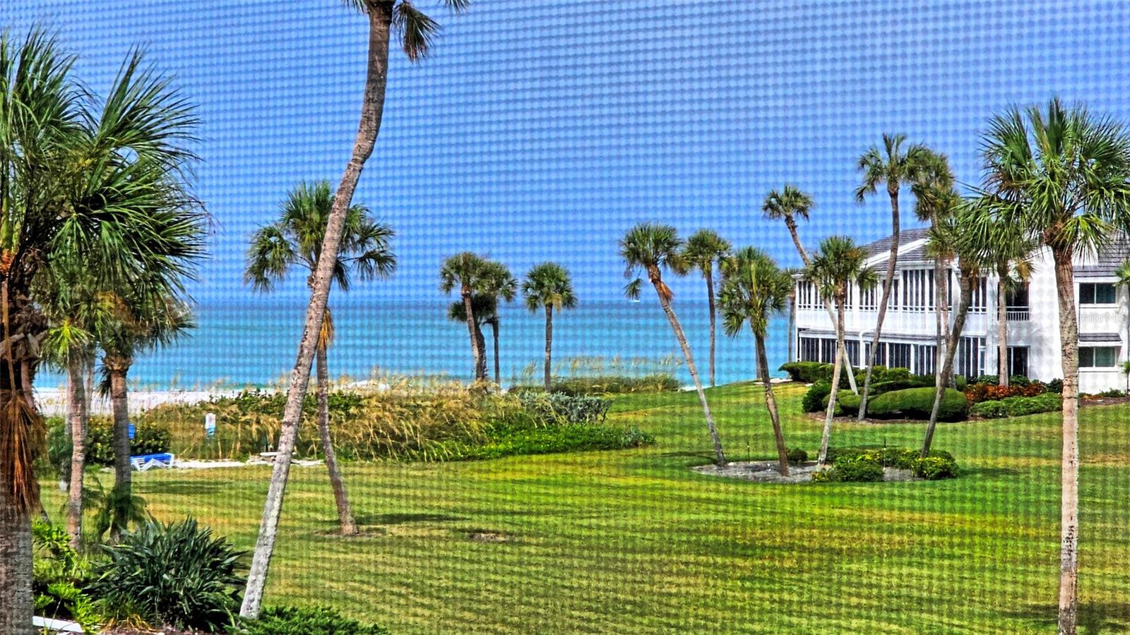 7115 GULF OF MEXICO DR #23
