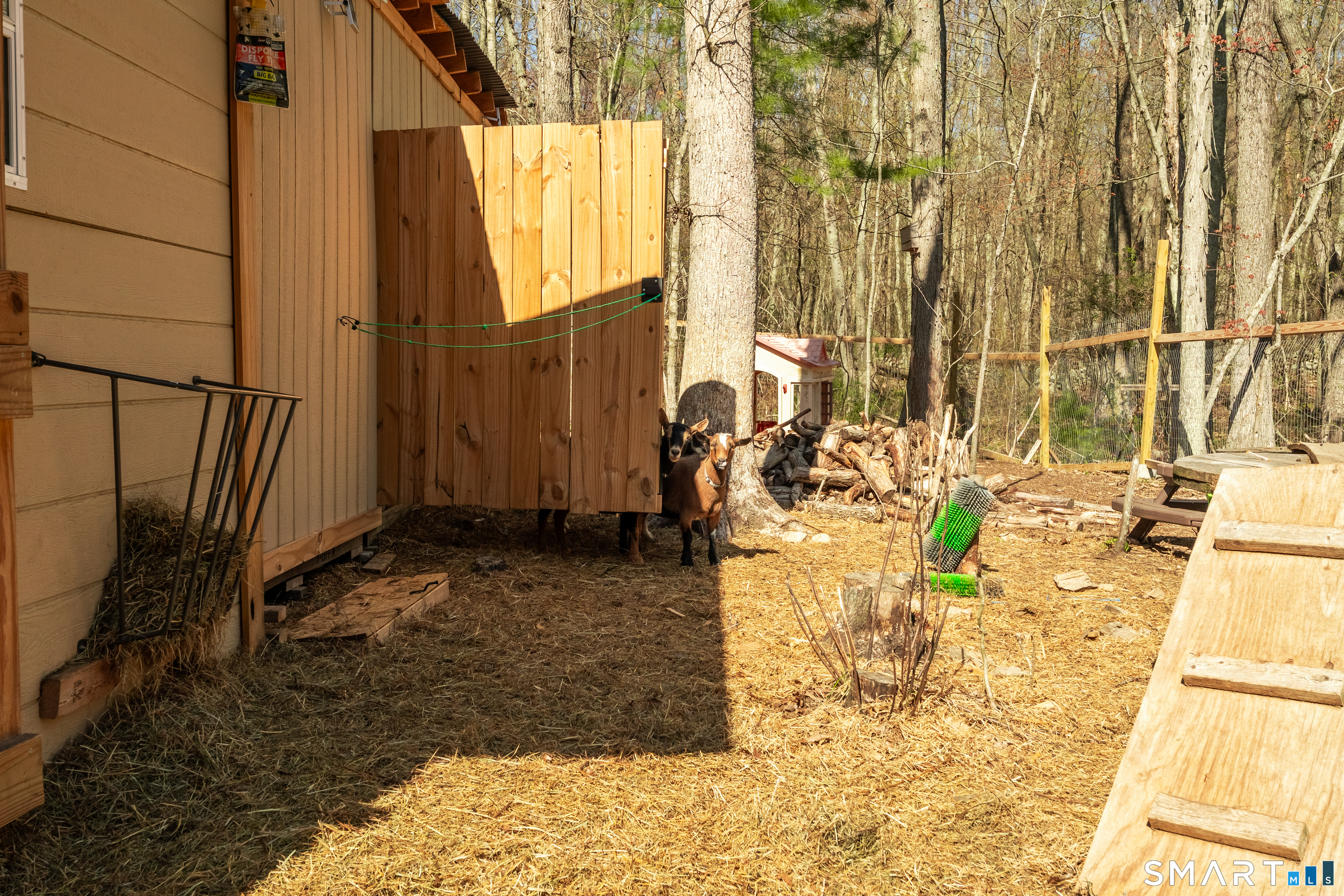 311 Cranberry Bog Road