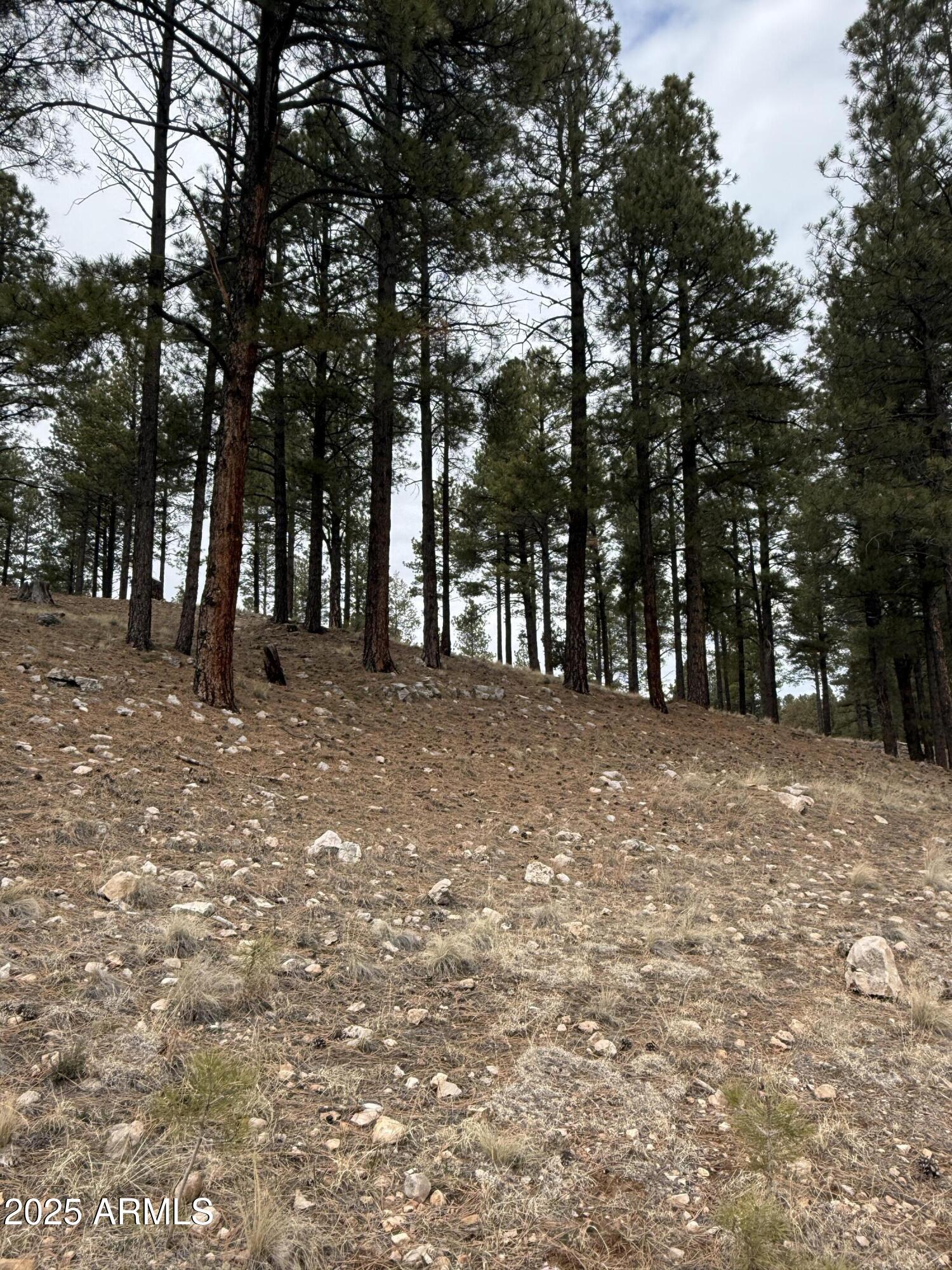 3616 S WOODLAND HILLS Drive 375