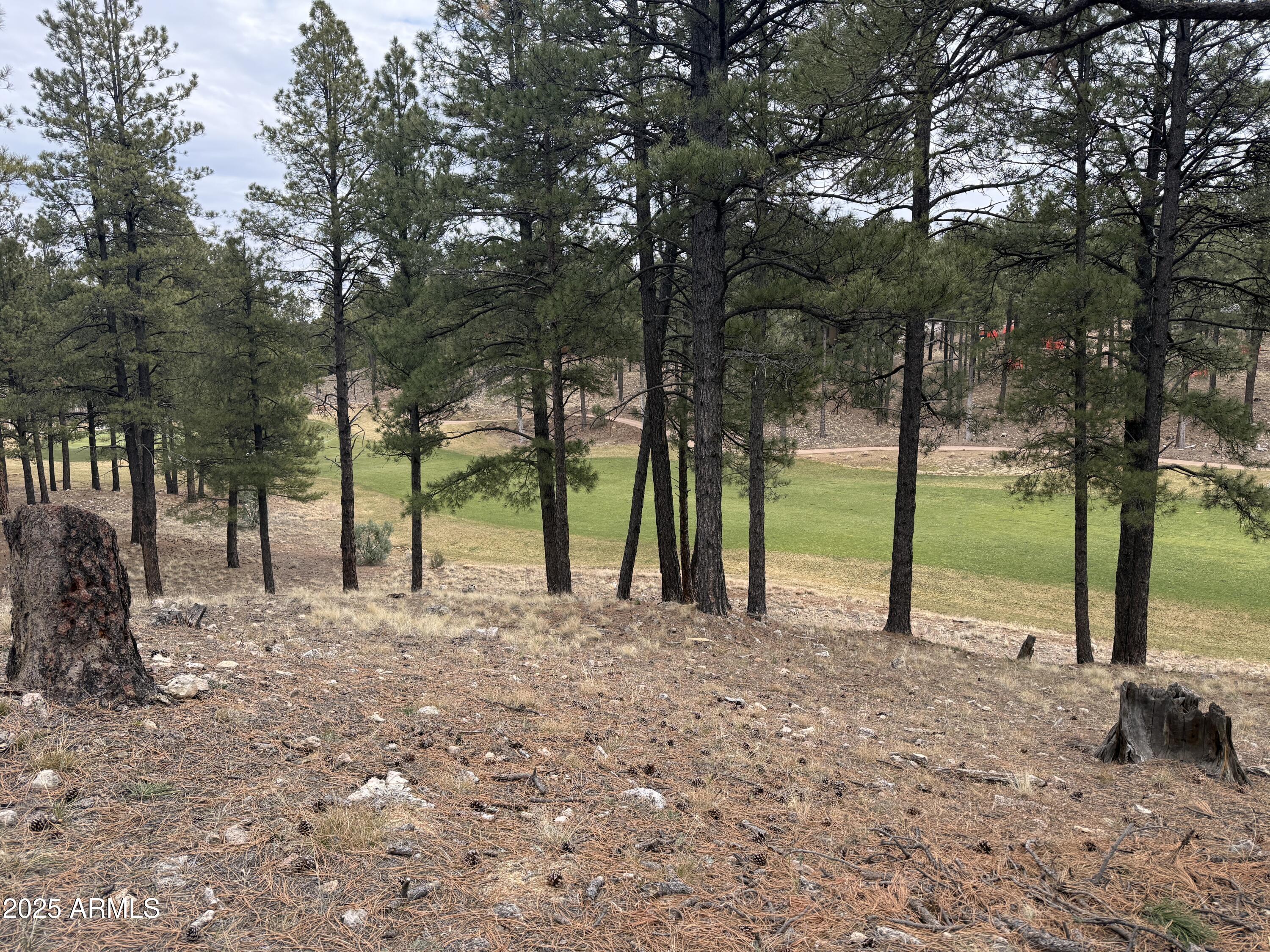 3616 S WOODLAND HILLS Drive 375