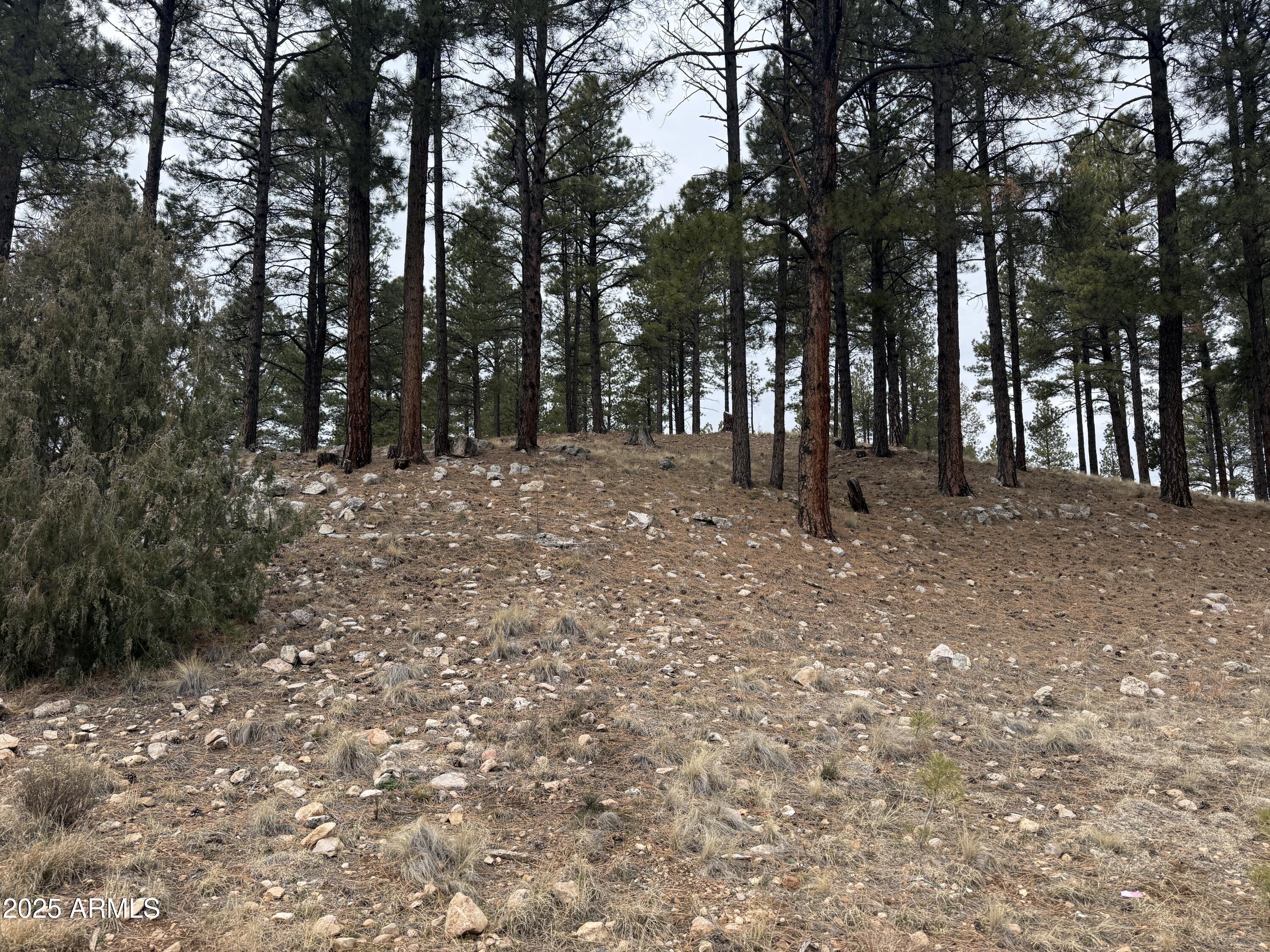 3616 S WOODLAND HILLS Drive 375