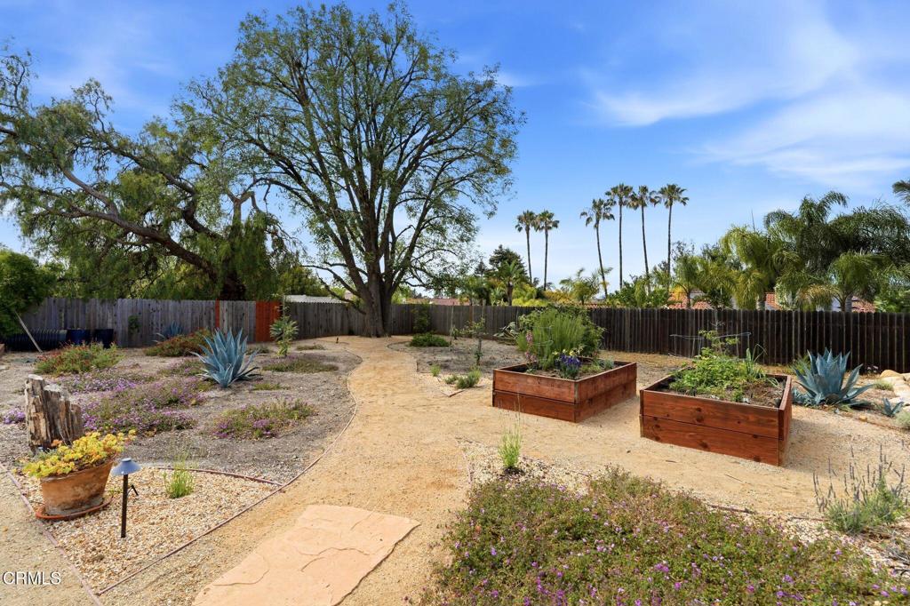 130 Avocado Place